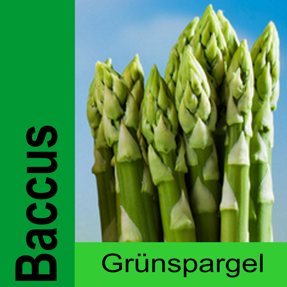 SPA BC.jpg Spargelpflanzen grün