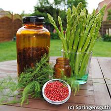 spargel-heilkunde