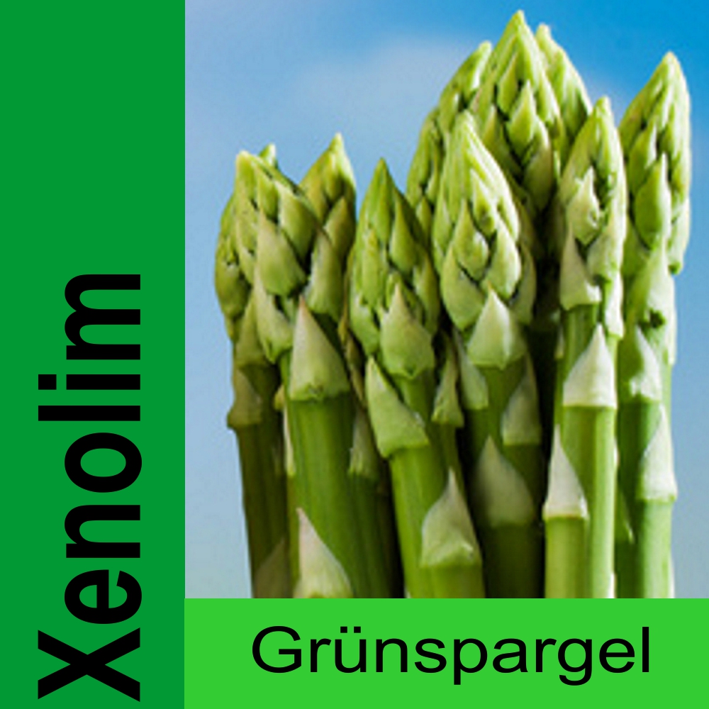 SPA XE.jpg Spargelpflanzen grün