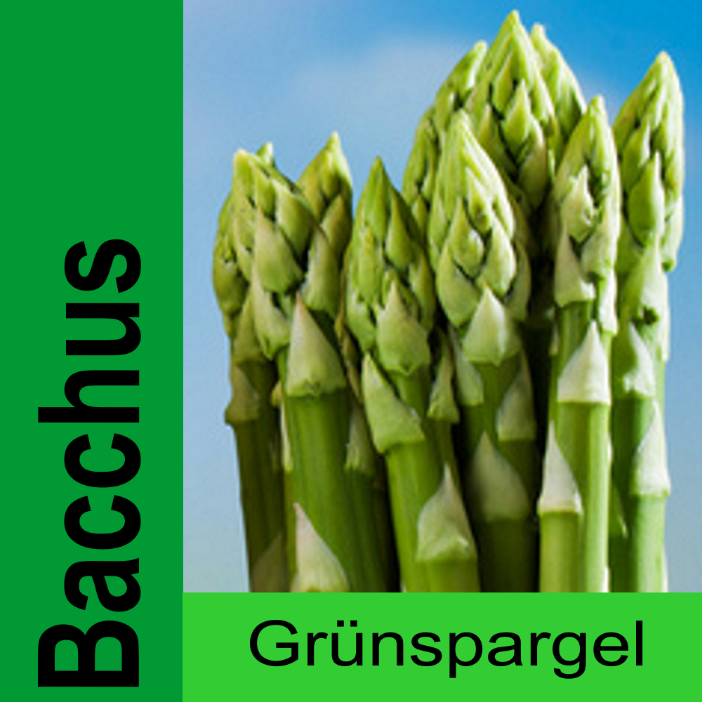 Spargelpflanzen grÃ¼n